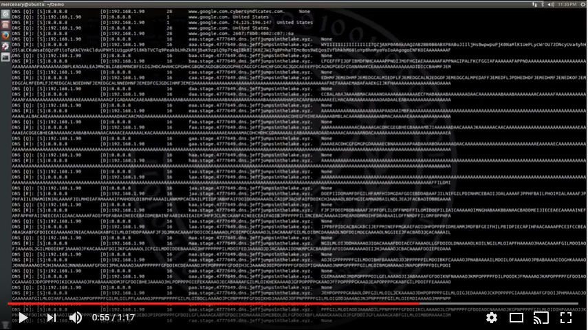 Watch DNS Hunter Demo Video